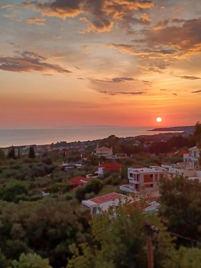 Il Tramonto Apartments 2 Kanáli Kültér fotó